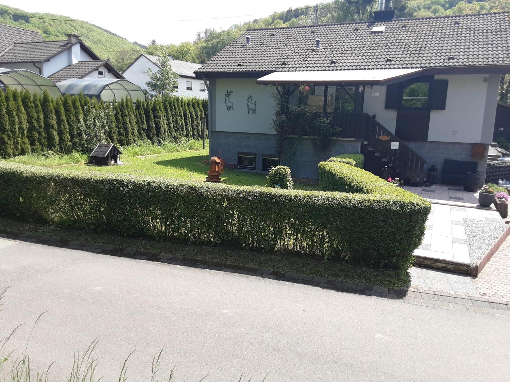 GrafendhronZum Goldenen Talアパートメント エクステリア 写真